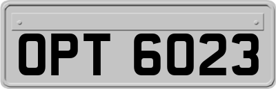 OPT6023
