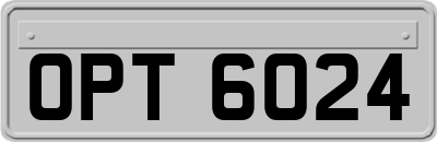 OPT6024