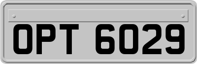 OPT6029