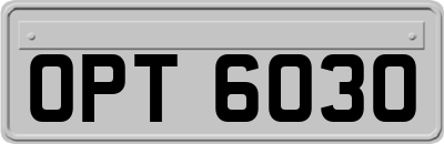 OPT6030