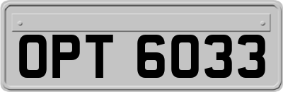 OPT6033