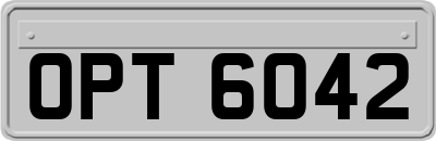 OPT6042