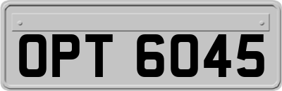 OPT6045