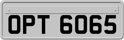 OPT6065