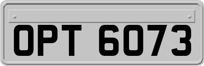 OPT6073
