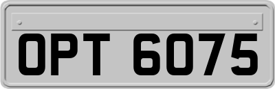 OPT6075
