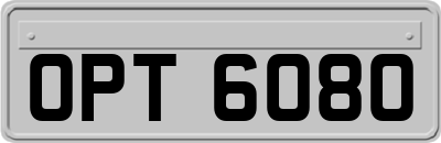 OPT6080