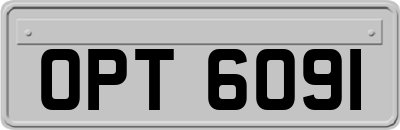 OPT6091