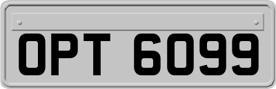 OPT6099