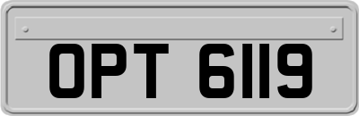 OPT6119