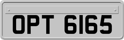 OPT6165