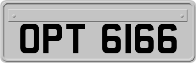 OPT6166