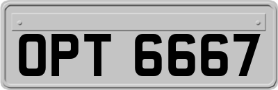 OPT6667