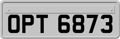 OPT6873