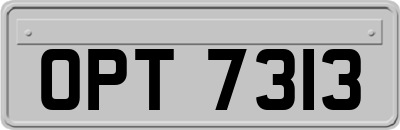 OPT7313