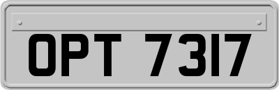 OPT7317