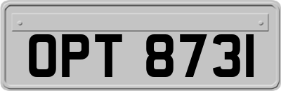 OPT8731