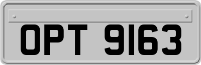 OPT9163