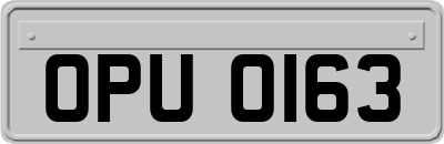 OPU0163