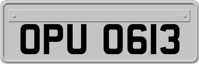 OPU0613