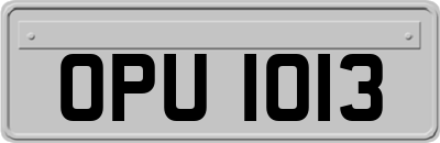 OPU1013