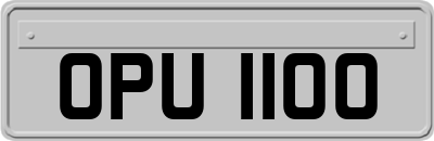 OPU1100