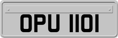 OPU1101