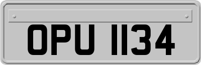 OPU1134