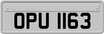 OPU1163