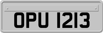 OPU1213