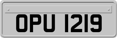 OPU1219