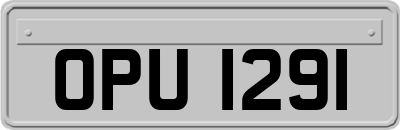 OPU1291