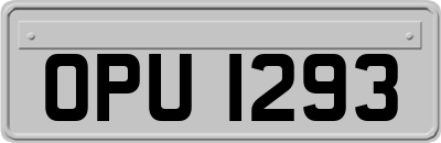 OPU1293