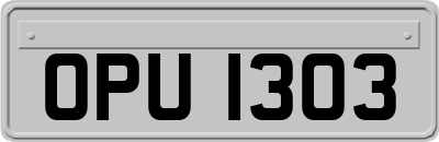 OPU1303