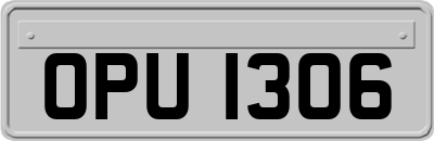 OPU1306