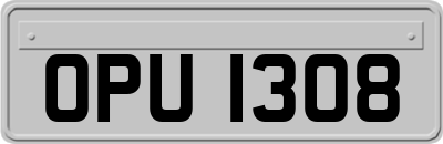 OPU1308