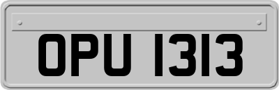 OPU1313