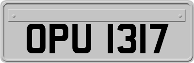 OPU1317