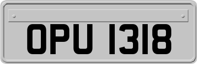 OPU1318