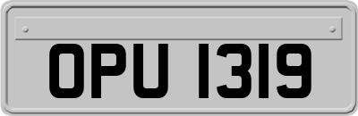 OPU1319