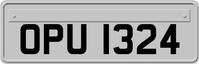 OPU1324