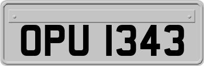 OPU1343
