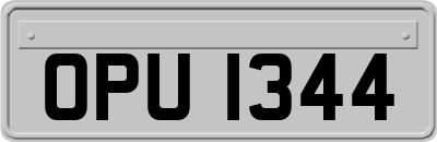 OPU1344