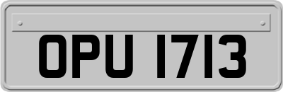OPU1713