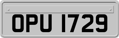 OPU1729