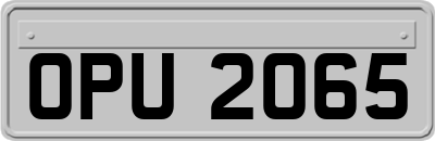 OPU2065