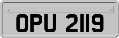 OPU2119