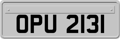 OPU2131