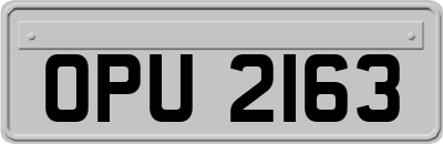 OPU2163