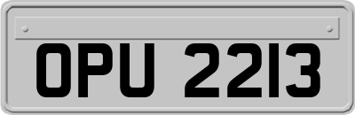 OPU2213